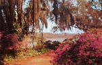 Holly Bluff Gardens, Bay St. Louis, Mississippi