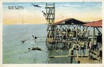 Divers in Action, Biloxi, Mississippi