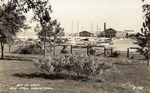 Seafood Industries: Docked Fishing/Shrimping Boats