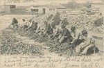 Opening Oysters, Biloxi, Mississippi