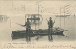 Gathering Oysters, Biloxi, Mississippi