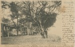 Greetings From Gulfport, Mississippi (A House and Trees)