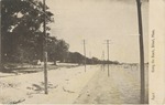 Along the Beach, Biloxi, Mississippi