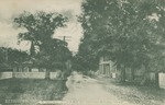 A Quiet Street in Handsboro, Mississippi