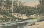 Red Creek, Near Wiggins, Mississippi