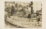 Unloading Oysters from the Julia Delacruz Schooner, Biloxi, Mississippi--Back of the Postcard