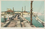 Oyster Schooners Unloading at Canning Factory, Biloxi, Mississippi--Back of the Postcard