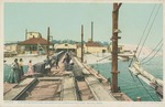 Oyster Schooners Unloading at Canning Factory, Biloxi, Mississippi