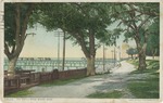 The Shell Road, Biloxi, Mississippi