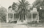 Tropical Pine" Right at Home (A Palm tree in the Middle of Porch Steps), Biloxi, Mississippi