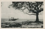 Municipal Bathing Pier, Pascagoula, Mississippi