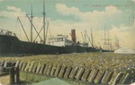 Loading Cotton, Gulfport, Mississippi