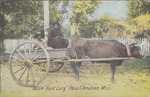 Aunt Lucy, Pass Christian, Mississippi