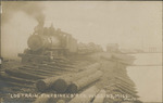 Log Train, Finkbine Lumber Company, Wiggins, Mississippi