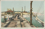 Oyster Schooners Unloading at Canning Factory, Biloxi, Mississippi