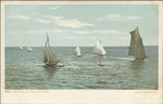 Regatta at Gulfport, Mississippi