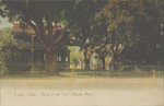 Oaks-"Ring in the Tree", Biloxi, Mississippi