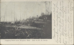 Logging Scene Near Wiggins, Mississippi