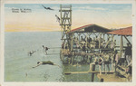 Divers in Action, Biloxi, Mississippi