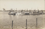 Fishing Boats at Anchor, Gulfport, Mississippi