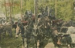 Logging Camp near Charleston, Mississippi