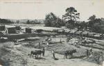 Lamb-Fish Lumber Yard, Charleston, Mississippi