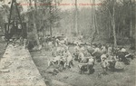 Woods Scene, Lamb-Fish Lumber Company, Charleston, Mississippi