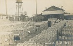 Scene at a Cotton Gin, Winona, Mississippi