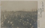 Cotton Field Near Moorhead, Mississippi