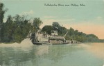 Tallahatchie River near Philipp, Mississippi