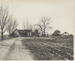 Residence and Barns, McGuire Plantation, 1955