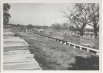 Lumberyard at King and Anderson Plantation, Clarksdale, Mississippi by Marion Post-Walcott