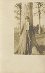 Portrait of a Man in Front of a Tree