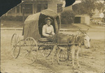 Man in a Covered Wagon Pulled by a Donkey