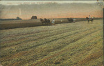Cutting Alfalfa Near West Point, Mississippi
