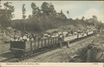 Employees Annual Picnic, Quitman, Mississippi