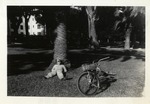 United States Air Force Airman Laying at the Base of a Palm Tree with a  Bicycle Nearby