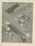 Model Air Force Airplane, Dynamite Dottie