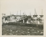 Shrimp Boats Docked at a Pier