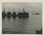 Group of Fishing Boats Anchored Together on the Water