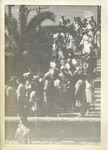 Large Group of People Walking Down Stairs Outside, a Palm tree at the Foot of the Stairs