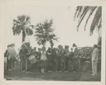 Marching Band In Front of Palm Trees
