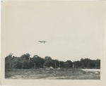 An Airplane Flying Low Over Trees