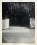 Large Tree with White Picket Fence