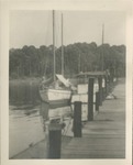 Sailboats Docked at a Pier