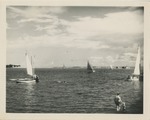A Group of Sailboats on the Water Near the Beach