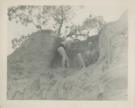 Two Men in Swim Trunks on the Ledge of a Sand Dune