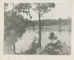 Man Staring at the Water