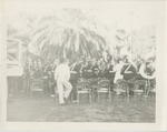 Marching Band in Uniform Facing a Palm Tree