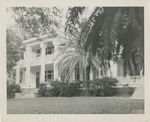 Two Story White House With Columns and Palm trees